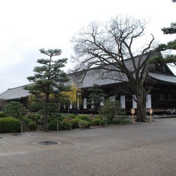 京都市・三十三間堂