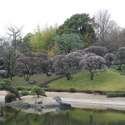 越谷市・花田苑