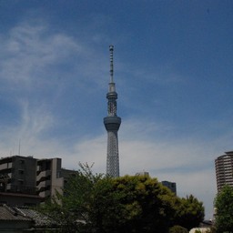東京都・亀戸天神
