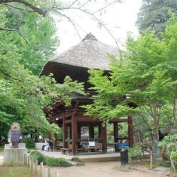 館林市・茂林寺