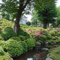 東京都・根津神社