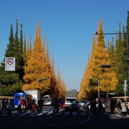 東京都・明治神宮外苑