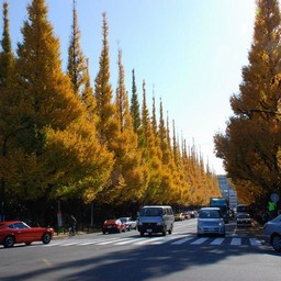 東京都・明治神宮外苑