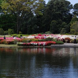 東京都・神代植物公園