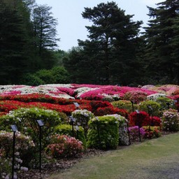東京都・神代植物公園