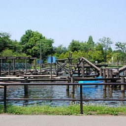 野田市・清水公園