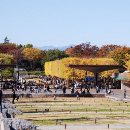 東京都・昭和記念公園