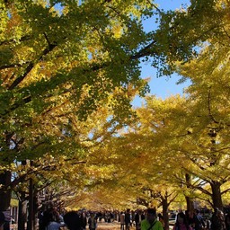 東京都・昭和記念公園