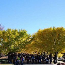 東京都・昭和記念公園