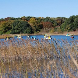 東京都・昭和記念公園