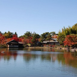 東京都・昭和記念公園