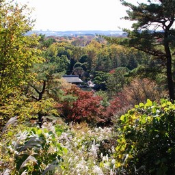 東京都・昭和記念公園