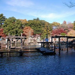 野田市・清水公園