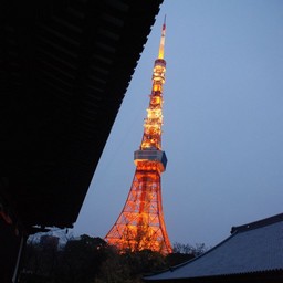 東京都・増上寺