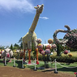 埼玉県宮代町・東武動物公園