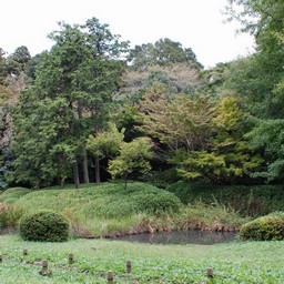 野田市・清水公園