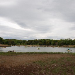 立川市・昭和記念公園