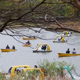 立川市・昭和記念公園