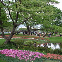 立川市・昭和記念公園