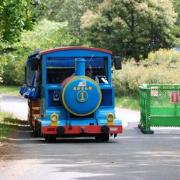 立川市・昭和記念公園