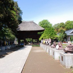 館林市・茂林寺