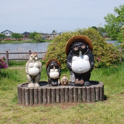 館林市・館林市つつじが岡公園