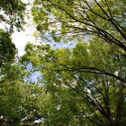 東京都台東区・上野公園