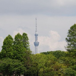 東京都台東区・不忍池