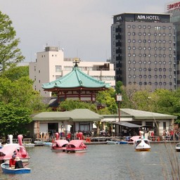 東京都台東区・不忍池