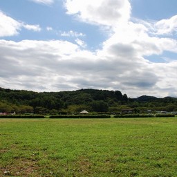 日高市・巾着田