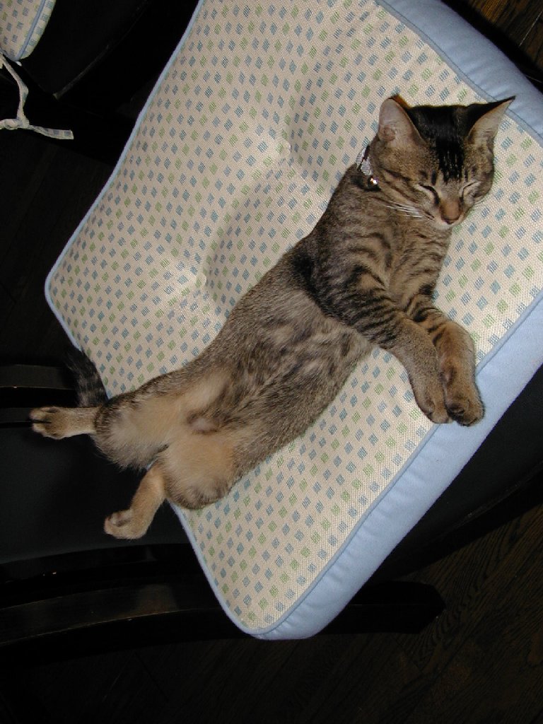 ʌzJsELEPCS -  - ʐ^f - ݃{