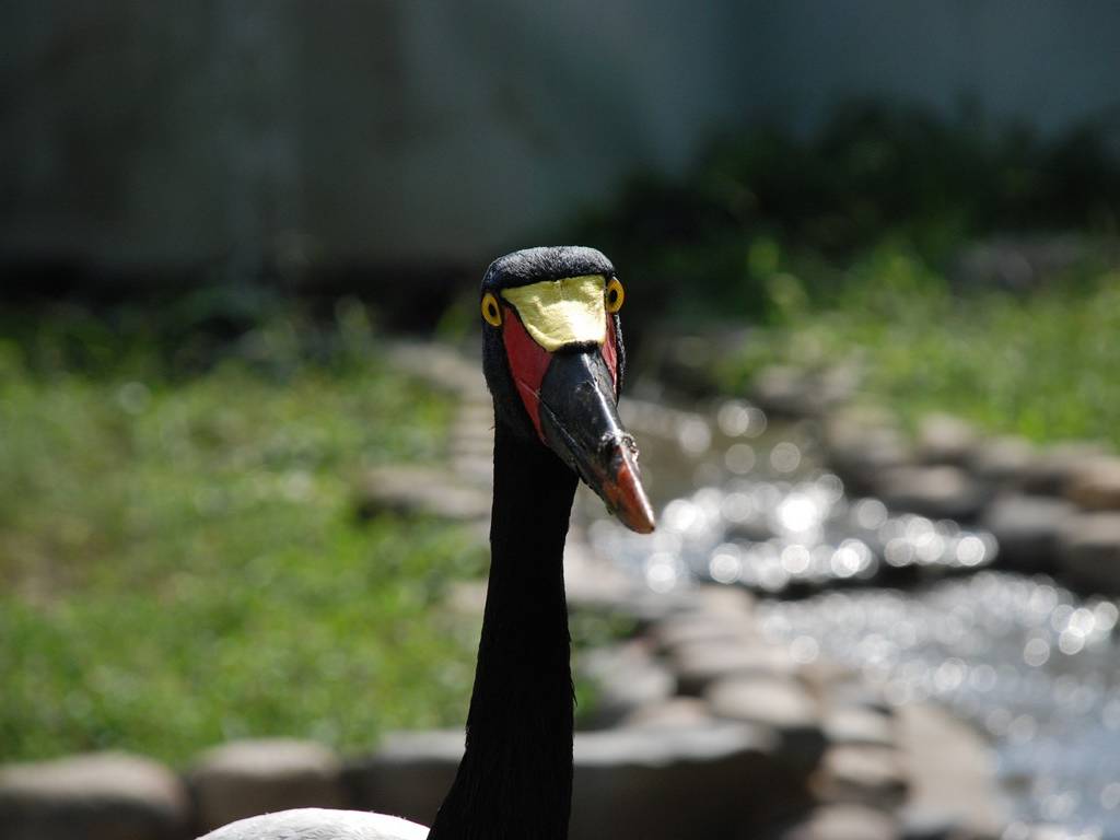 ʌ{㒬EENnVRE -  - ʐ^f - ݃{