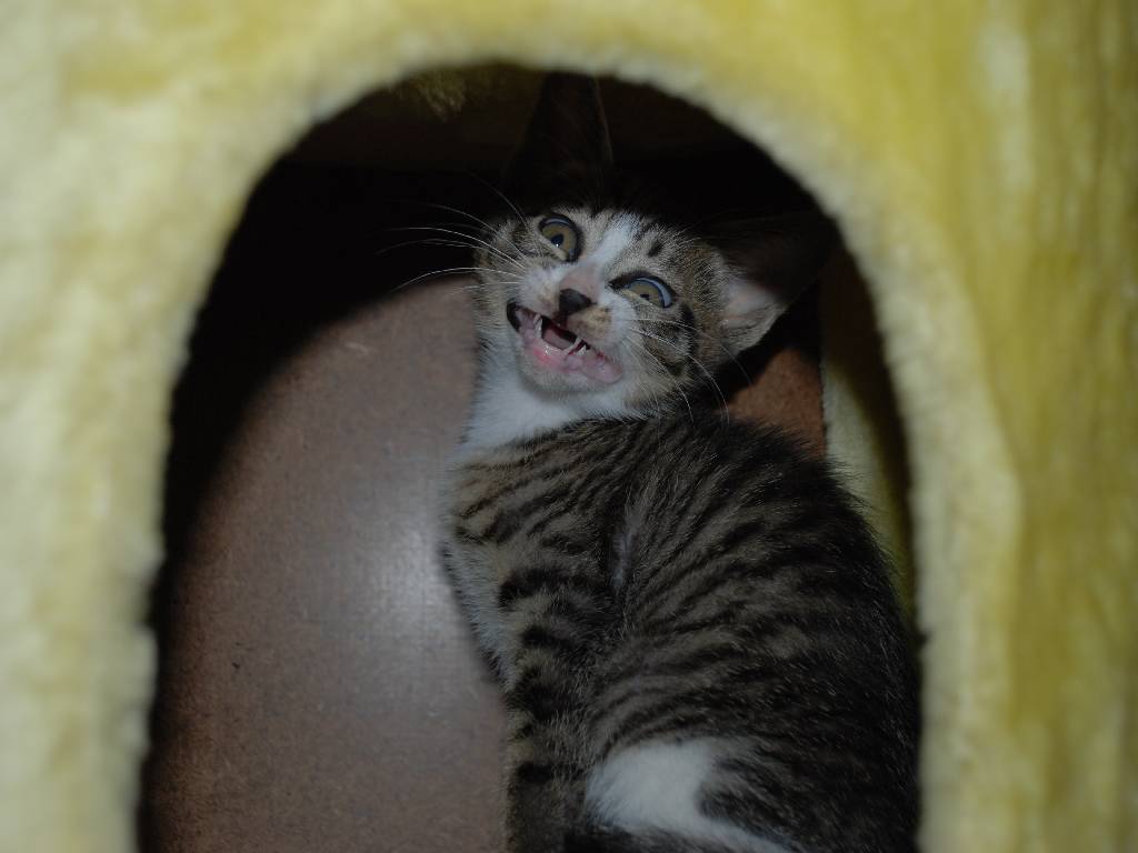 ʌzJsEqLE~[ -  - ʐ^f - ݃{