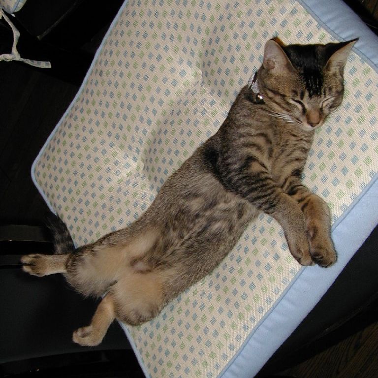 ʌzJsELEPCS -  - ʐ^f - ݃{