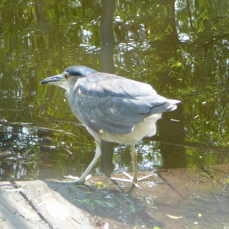ʌ܎sEESCTM -  - ʐ^f - ݃{