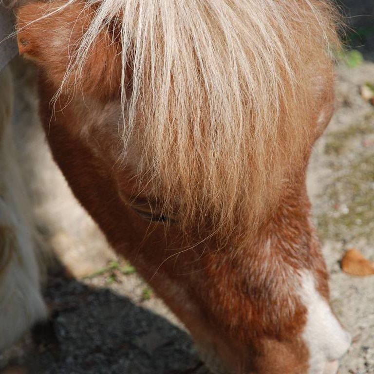 ʌ{㒬EEn -  - ʐ^f - ݃{