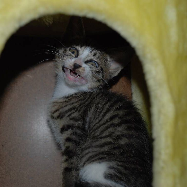 ʌzJsEqLE~[ -  - ʐ^f - ݃{
