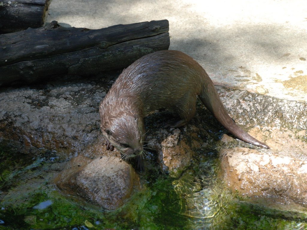 ttsEtERcJE\ -  - ʐ^f - ݃{