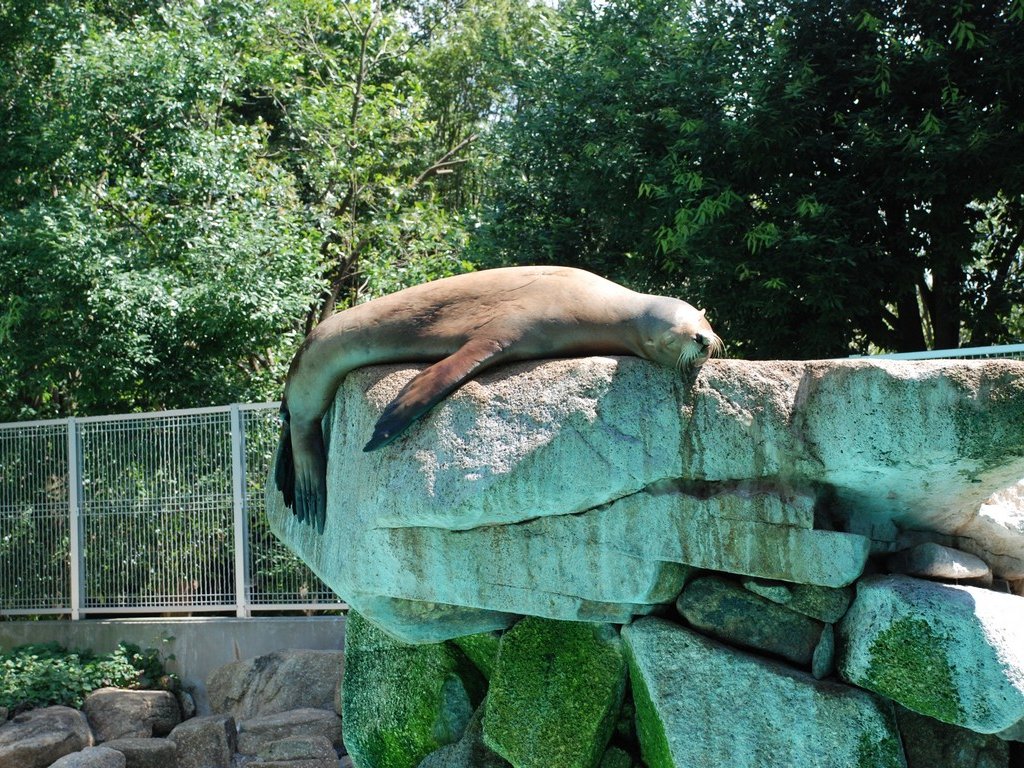 ttsEtEJtHjAAVJ -  - ʐ^f - ݃{