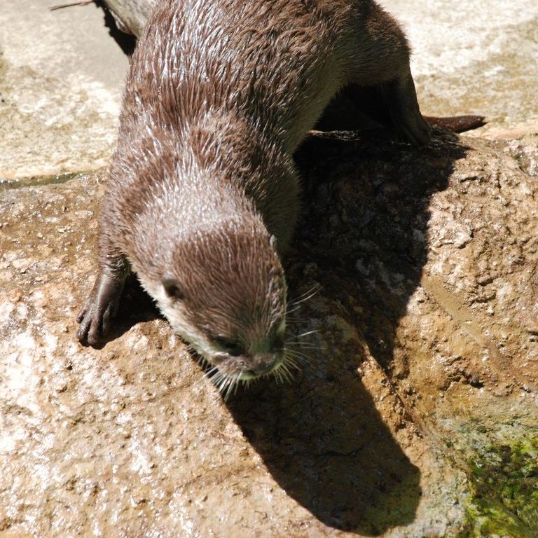 ttsEtERcJE\ -  - ʐ^f - ݃{