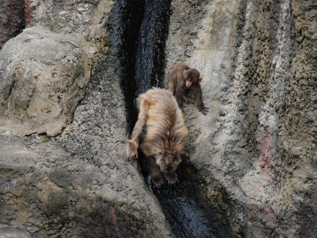 tssEAEjzU -  - ʐ^f - ݃{