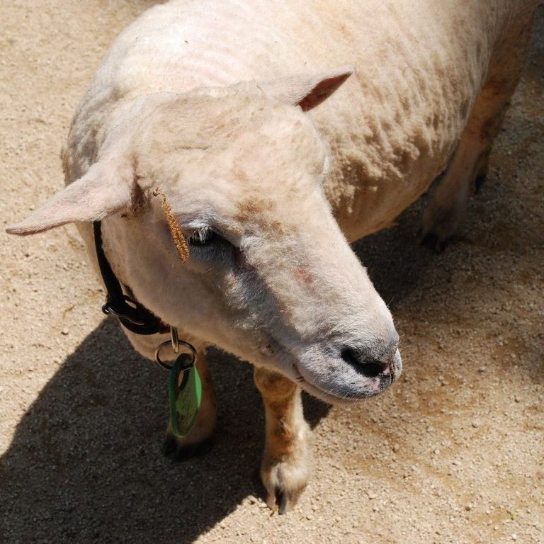 ʌRsEǂEqcW -  - ʐ^f - ݃{