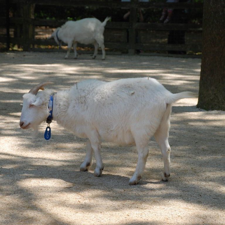 ʌRsEǂEM -  - ʐ^f - ݃{