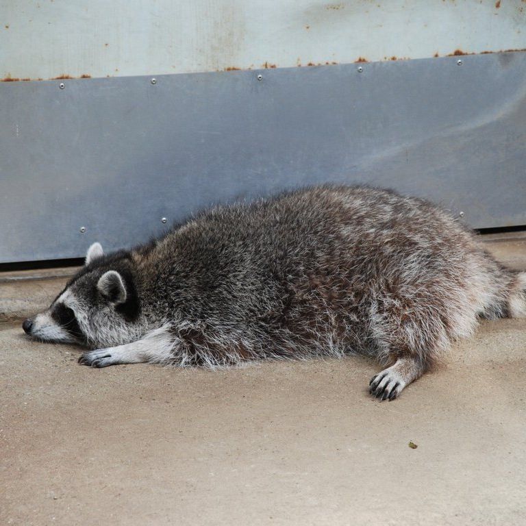 tssEAEACO} -  - ʐ^f - ݃{