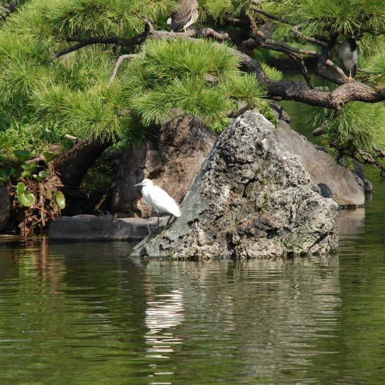 s]搴E뉀EVTM -  - ʐ^f - ݃{