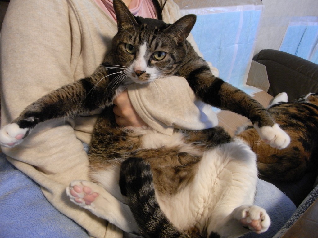 ʌzJsElR -  - ʐ^f - ݃{