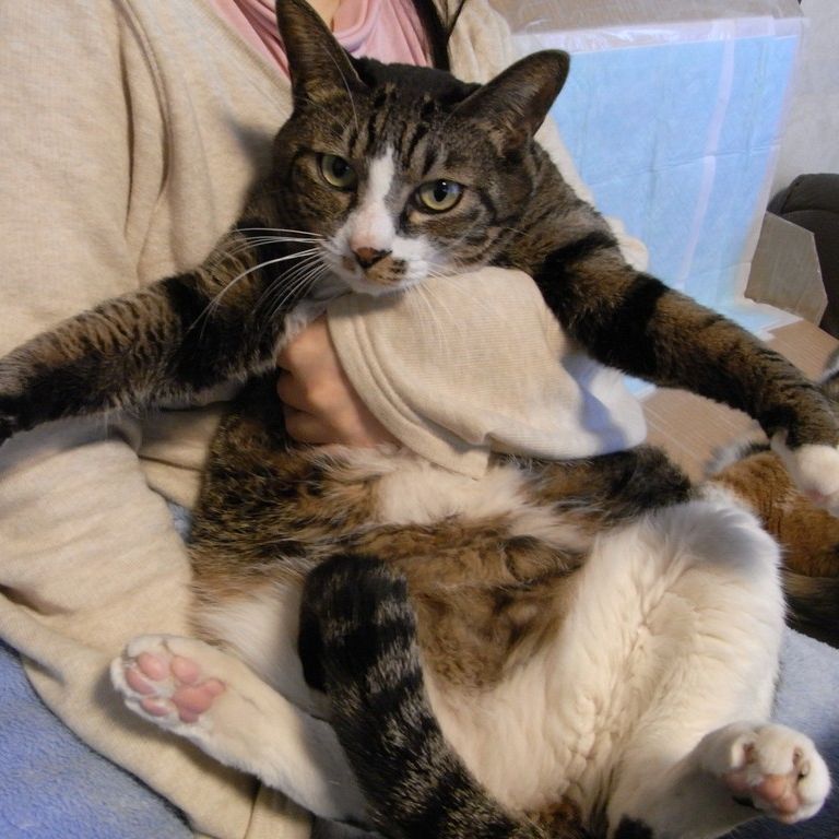 ʌzJsElR -  - ʐ^f - ݃{