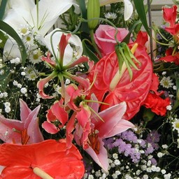 花束