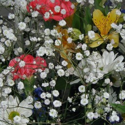 花束