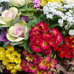 花束